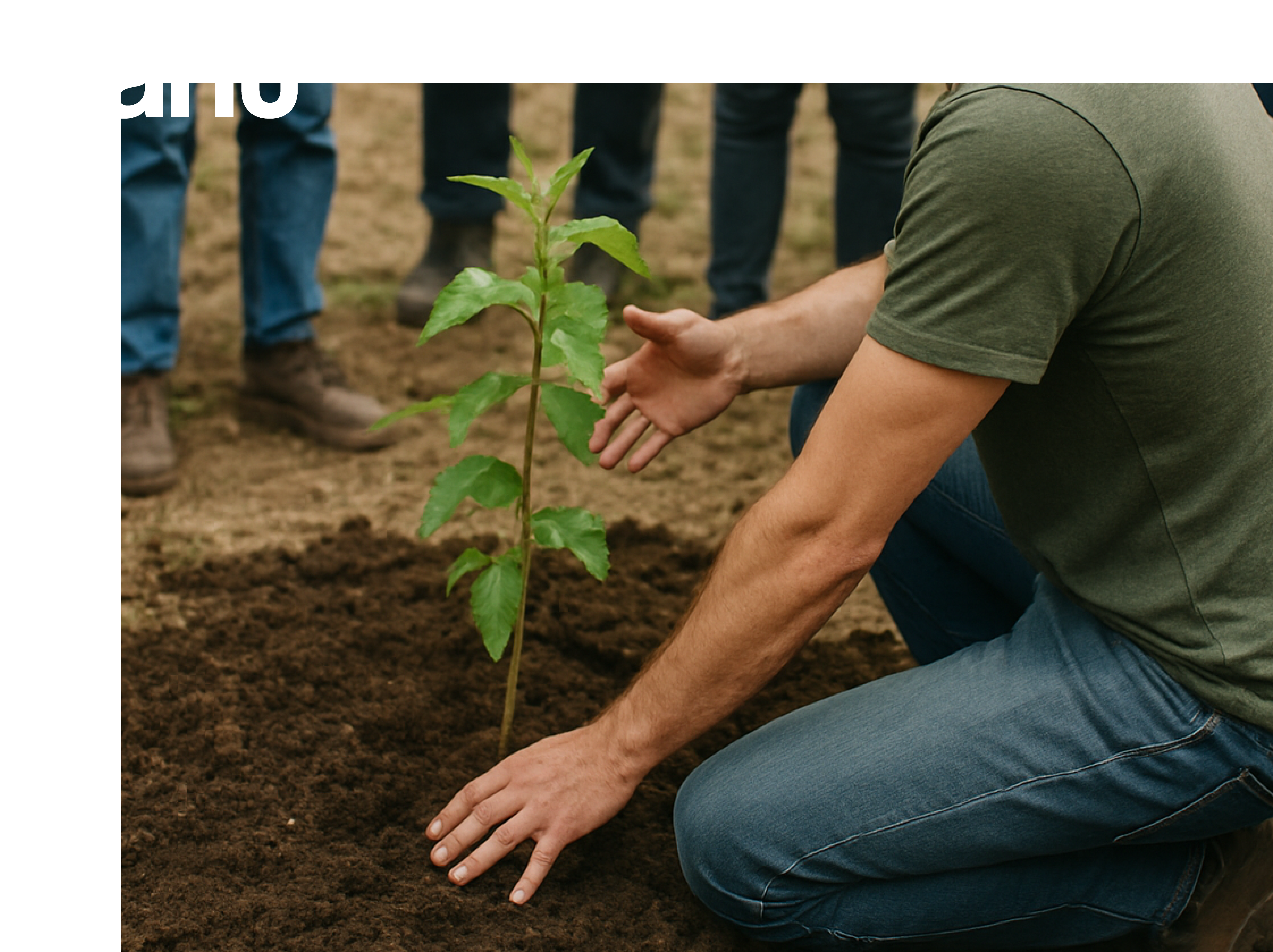 Plant trees with partners